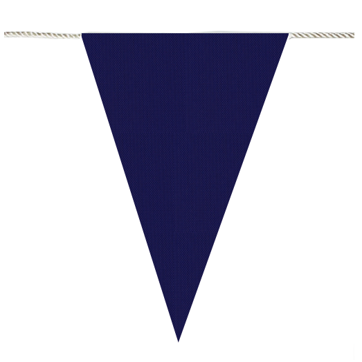 Purple Bunting